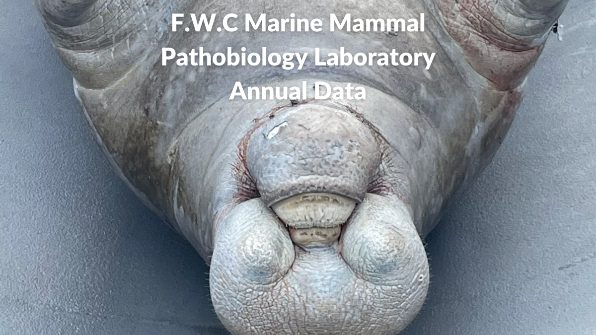 PathoBiology Laboratory Reports from the Florida Fish and Wildlife Commission